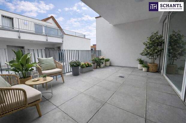Terrassenwohnung kaufen in 2514 Traiskirchen (Bild 4)