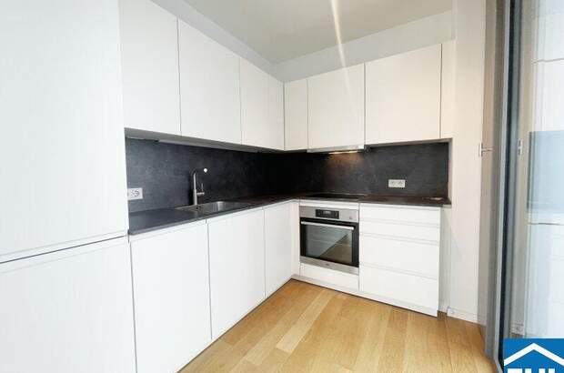 Terrassenwohnung mieten in 1100 Wien (Bild 3)