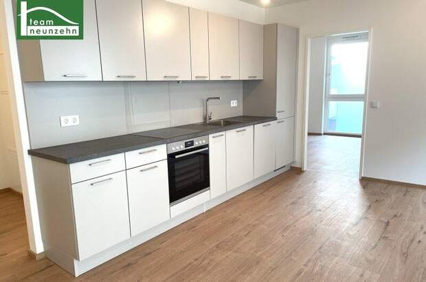 Terrassenwohnung mieten in 1220 Wien (Bild 3)