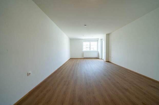 Terrassenwohnung mieten in 2104 Spillern (Bild 4)