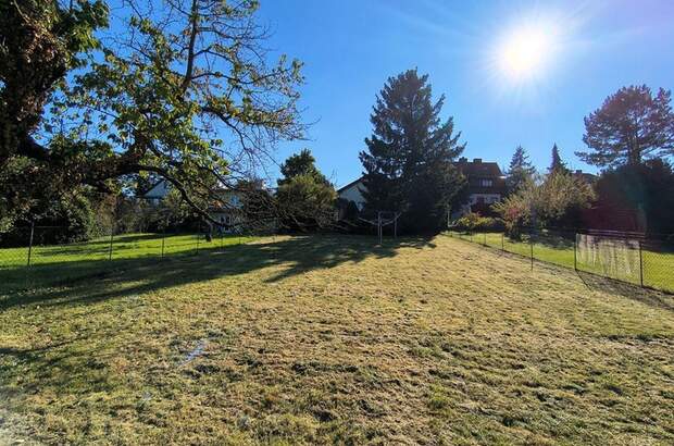 Grundstück kaufen in 2380 Perchtoldsdorf (Bild 2)