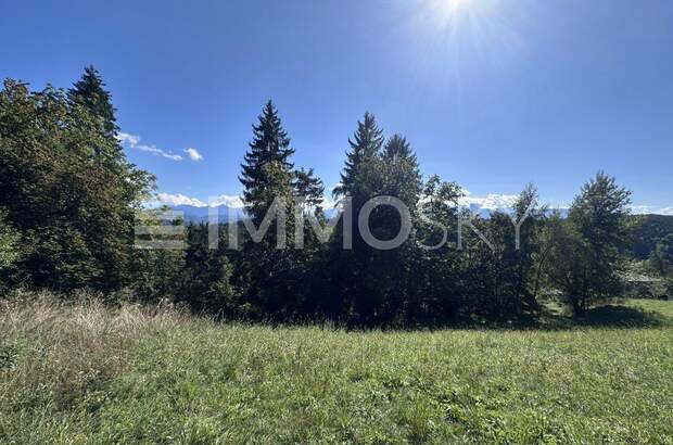 Grundstück kaufen in 9212 Techelsberg (Bild 1)