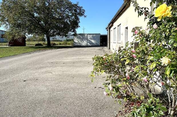 Gewerbeobjekt mieten in 4623 Gunskirchen (Bild 3)