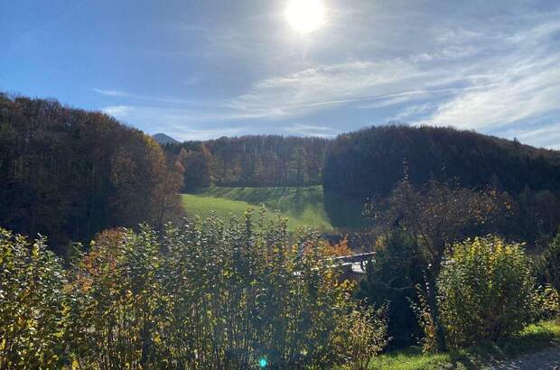 Gewerbeobjekt kaufen in 2572 Kaumberg (Bild 4)