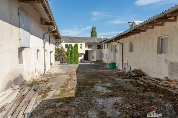 Einfamilienhaus kaufen in 2020 Groß (Bild 3)