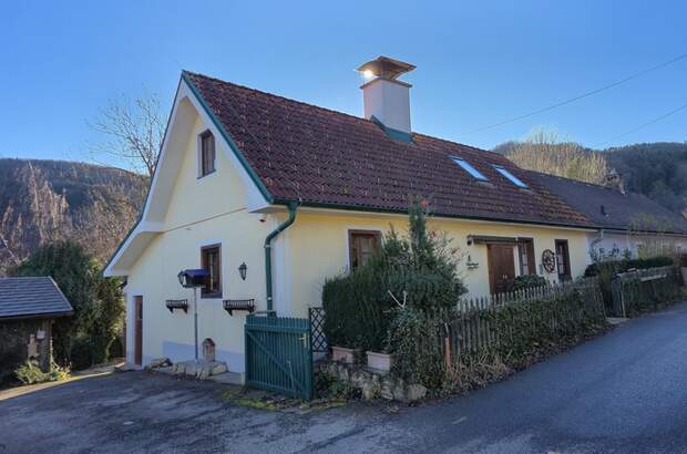 Einfamilienhaus kaufen in 3053 Laaben (Bild 3)