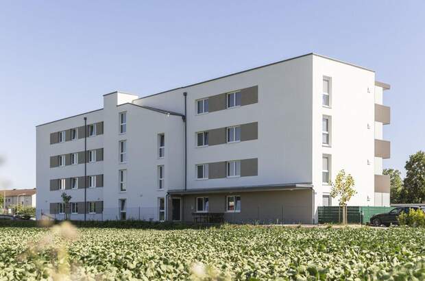 Wohnung mieten in 4320 Perg (Bild 3)