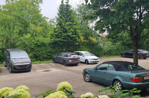 Altbauwohnung kaufen in 4863 Seewalchen (Bild 4)