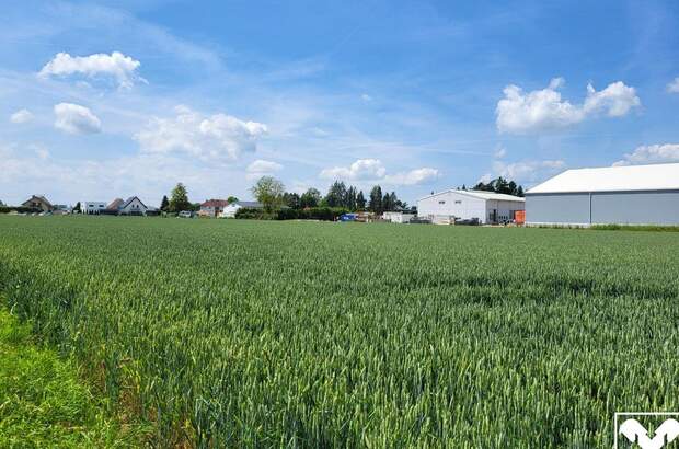 Gewerbeobjekt mieten in 4063 Hörsching (Bild 3)