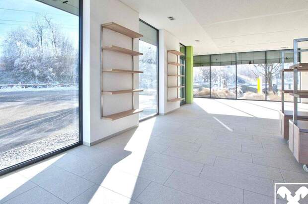 Gewerbeobjekt kaufen in 4845 Rutzenmoos (Bild 4)