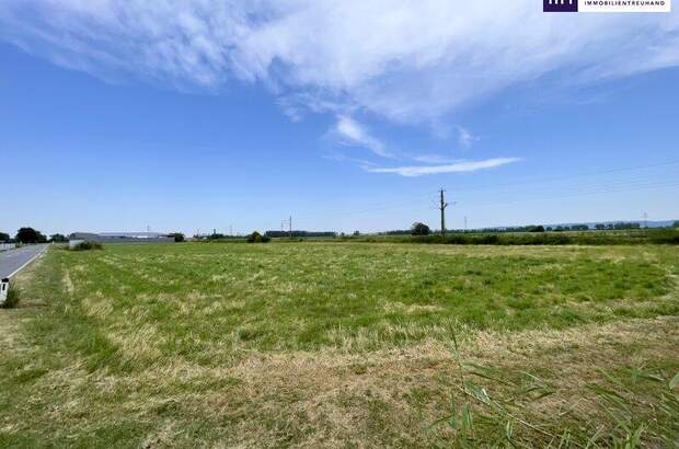 Grundstück kaufen in 2441 Mitterndorf (Bild 1)