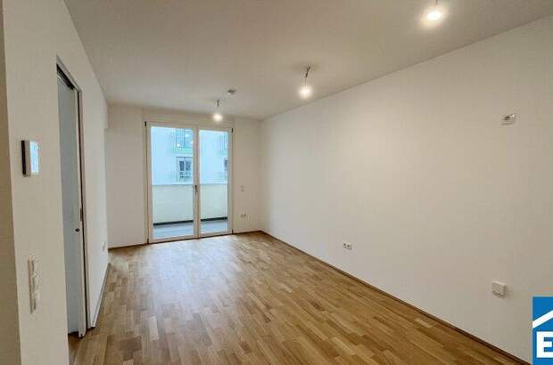 Terrassenwohnung kaufen in 1230 Wien (Bild 3)