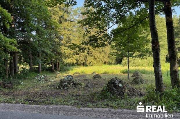 Grundstück kaufen in 4575 Roßleithen (Bild 1)