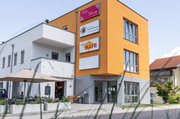 Gewerbeobjekt mieten in 4722 Peuerbach (Bild 4)