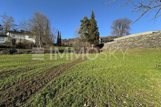 Grundstück kaufen in 6833 Klaus (Bild 3)