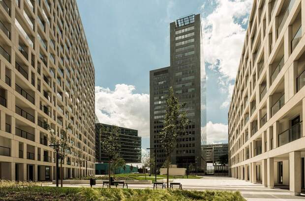 Terrassenwohnung mieten in 1220 Wien (Bild 1)
