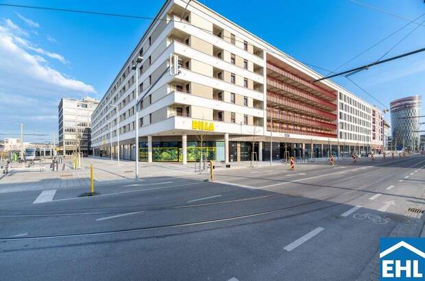 Terrassenwohnung mieten in 8020 Graz (Bild 1)