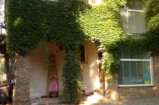 Wohnung mieten in 3430 Tulln (Bild 4)