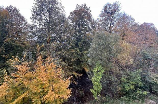 Einfamilienhaus kaufen in 8541 Schwanberg (Bild 4)