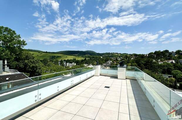 Terrassenwohnung kaufen in 1190 Wien (Bild 1)