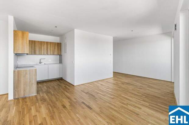 Terrassenwohnung mieten in 1200 Wien (Bild 1)