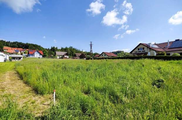 Grundstück kaufen in 8552 Eibiswald