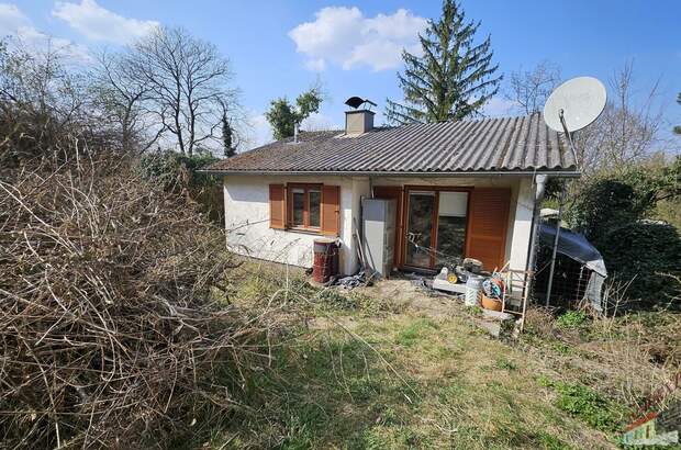 Grundstück kaufen in 3424 Wolfpassing (Bild 2)