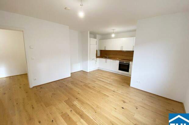 Terrassenwohnung mieten in 1100 Wien (Bild 2)