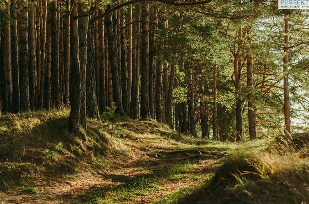 Gewerbeobjekt kaufen in 6471 Arzl (Bild 1)