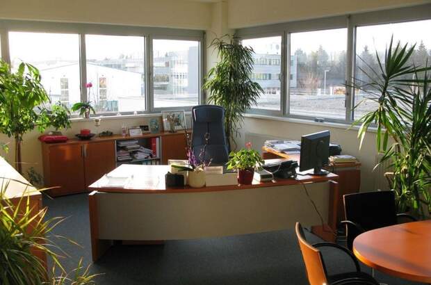 Einzelhandel kaufen in 5073 Wals (Bild 2)