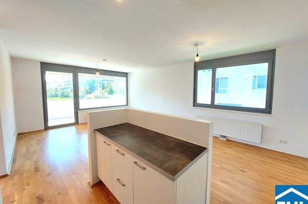 Terrassenwohnung mieten in 1110 Wien (Bild 2)