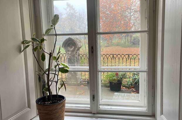 Altbauwohnung mit Balkon mieten in 2412 wolfsthal (Bild 5)