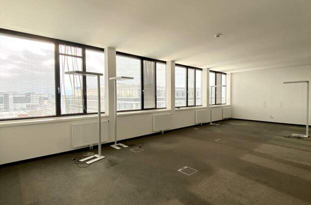 Gewerbeobjekt mieten in 1230 Wien (Bild 2)