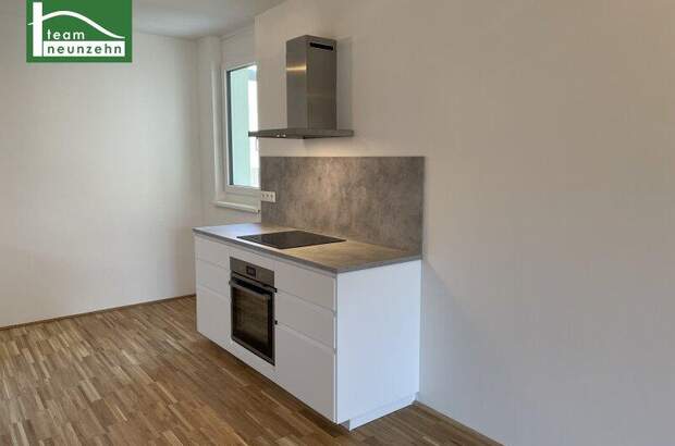 Terrassenwohnung mieten in 1230 Wien (Bild 4)