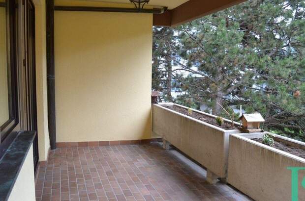 Wohnung mieten in 1130 Wien (Bild 3)