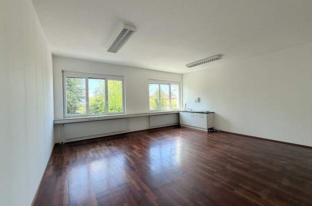 Gewerbeobjekt mieten in 2345 Brunn (Bild 5)