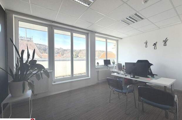 Gewerbeobjekt mieten in 2340 Mödling (Bild 2)