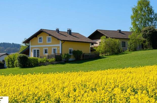 Haus kaufen in 5163 Palting (Bild 1)