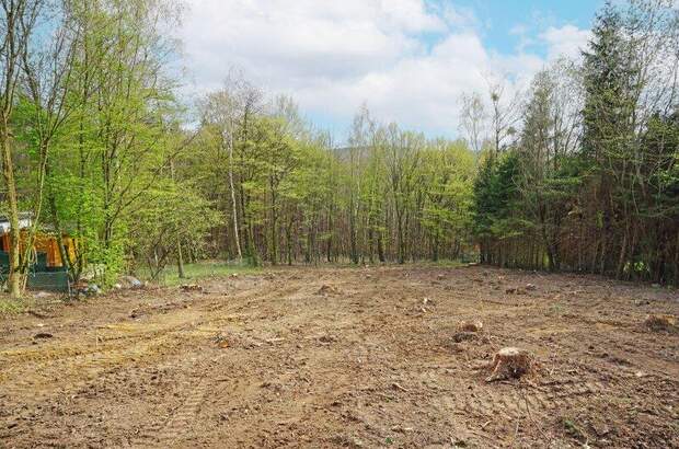 Grundstück kaufen in 3031 Rekawinkel (Bild 3)