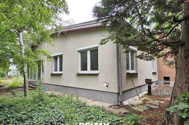Einfamilienhaus kaufen in 2440 Mitterndorf (Bild 3)