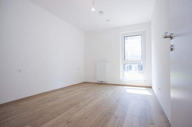 Terrassenwohnung kaufen in 2700 Wr. Neustadt (Bild 3)