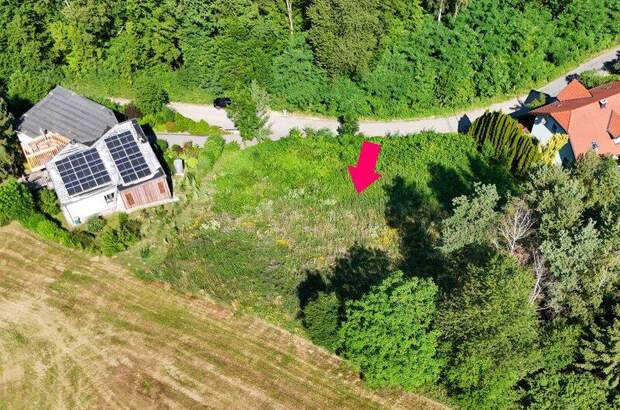 Grundstück kaufen in 3033 Altlengbach (Bild 4)