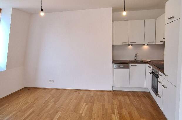 Altbauwohnung mieten in 1180 Wien (Bild 5)