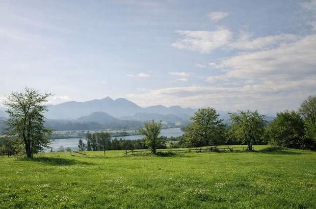 Grundstück kaufen in 9100 Völkermarkt (Bild 3)