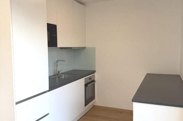 Terrassenwohnung mieten in 3500 Krems (Bild 4)