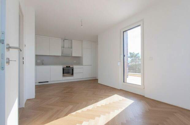 Terrassenwohnung kaufen in 1220 Wien (Bild 4)