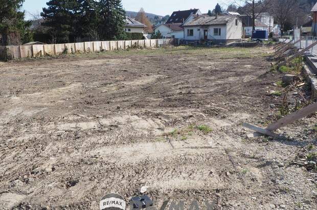 Grundstück kaufen in 3433 Königstetten (Bild 4)