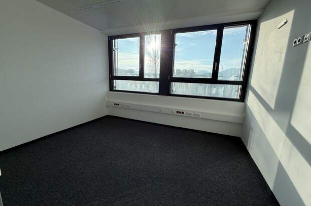 Gewerbeobjekt mieten in 8020 Graz (Bild 3)