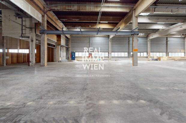Gewerbeobjekt mieten in 2514 Traiskirchen (Bild 1)