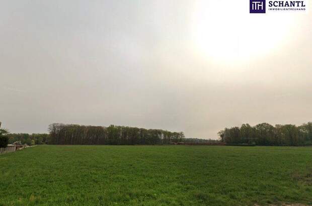 Grundstück kaufen in 8430 Leibnitz (Bild 1)